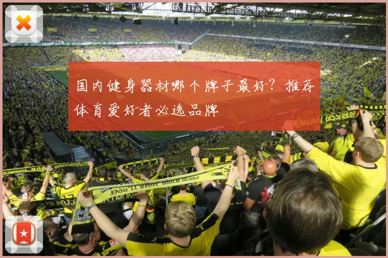 国内健身器材哪个牌子最好？推荐体育爱好者必选品牌